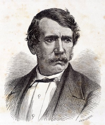 イギリスの宣教師であり探検家でもあったデイヴィッド・リヴィングストン（1813-1873）の肖像 - 『Tour du Monde』第2期に掲載。1875¿ 作： Unknown artist