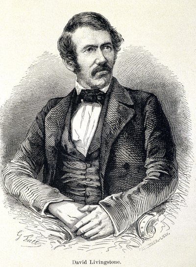 スコットランドの宣教師、デイヴィッド・リヴィングストン（1813-1873）の肖像 作： Unknown artist