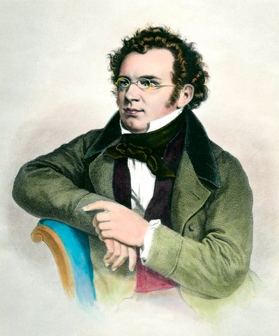 オーストリアの作曲家、フランツ・シューベルト（1797-1828）の肖像。19世紀のエングレーヴィング。個人蔵 作： Unknown artist