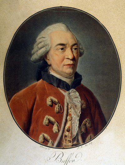 フランスの博物学者・作家であるビュフォン伯爵ジョルジュ・ルイ・ルクレール（1707～1788）の肖像。 作： Unknown artist