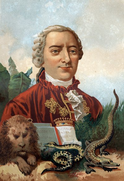 ビュフォン伯爵ジョルジュ・ルイ・ルクレール（1707年～1788年）の肖像。19世紀、ルイ・フィギエの「科学と人間」の後、クロモリトグラフ。バルセロナ 1881年 作： Unknown artist