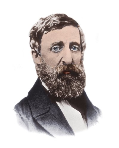 ヘンリー・デイヴィッド・ソロー（1817-1862）の肖像 - アメリカのエッセイスト、詩人、哲学者、奴隷制廃止論者、自然主義者、租税回避論者、開発評論家、測量家、歴史家 作： Unknown artist