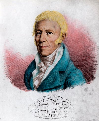 フランスの博物学者、ジャン・バティスト・ラマルク（1744-1829）の肖像。19世紀のエングレーヴィング。個人蔵。 作： Unknown artist