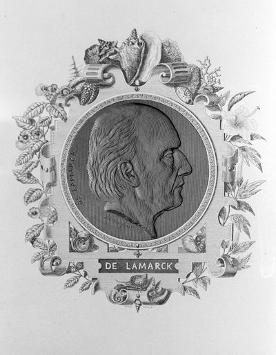 ラマルク（1744-1829）の肖像。 作： Unknown artist