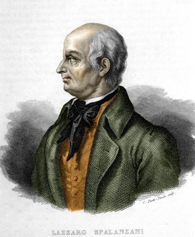 イタリアの生物学者ラザロ・スパランツァーニ（またはスパランツァーニ）の肖像（1729～1799年 作： Unknown artist