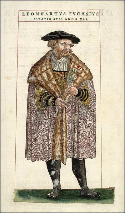 Leonhart Fuchsの肖像：植物学者-ドイツ人医師（1501 - 1566）-Leonhart Fuchsの「De Historia Stirpium commentarii badges,...」の中で。 作： Unknown artist