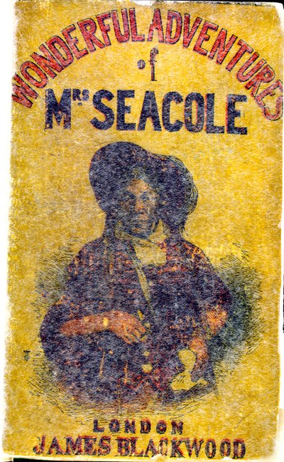 Retrato de Mary Jane Seacole (1805 - 14 de maio de 1881), nascida Grant. Uma mulher jamaicana de ascendência escocesa e crioula que montou um 