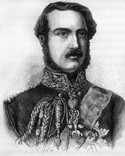 イギリスとアイルランドの王子であるアルバート王子（1819-1861）の肖像。 作： Unknown artist