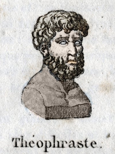ギリシャの哲学者テオフラステ（紀元前372年～紀元前287年）の肖像。 作： Unknown artist