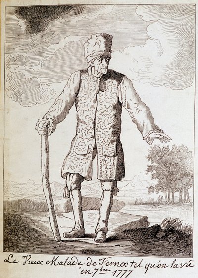 フランスの作家・哲学者であるヴォルテール（1694 - 1778）の肖像（高齢者）。 作： Unknown artist
