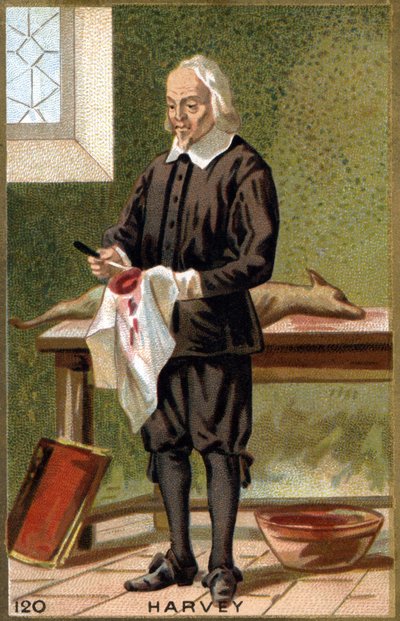 ウィリアム・ハーヴェイ(1578 - 1657)の肖像。19世紀のクロモリトグラフ。 作： Unknown artist