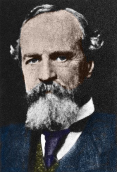 ウィリアム・ジェームズ（1842-1910）の肖像。 作： Unknown artist