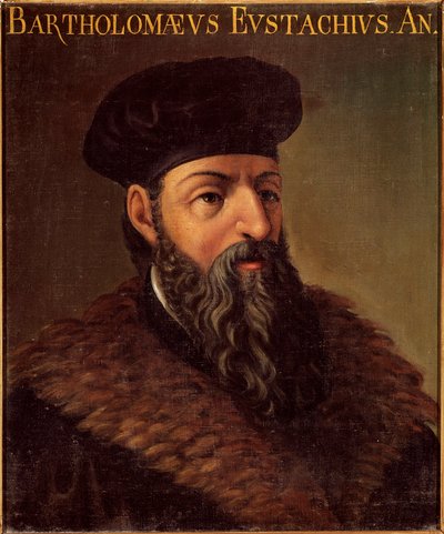 イタリアの解剖学者・医師バルトロメオ・エウスタチ（バルテレミー・エウスタチ）（1505-1574）の肖像 匿名の絵画。16世紀 イタリア・パドヴァ大学 - イタリアの解剖学者・医師バルトロメオ・エウスタチ（1505-1574）の肖像。アノニマス・ペインティング 作： Unknown artist