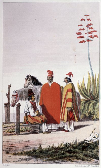 Private och landtfolk, Buenos Aires - Skogman Carl Johan Alfred, ed. "First swedish circumnavigation "にて。シュトックロム、アドルフ・ボニエ 作： Unknown artist