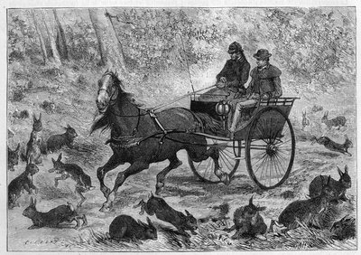 オーストラリアでのウサギの過密飼育。ウサギの群れの中を通るウィリアムソン氏の車。3月24日付「La Nature: revue des sciences et de leurs applications aux arts et a l