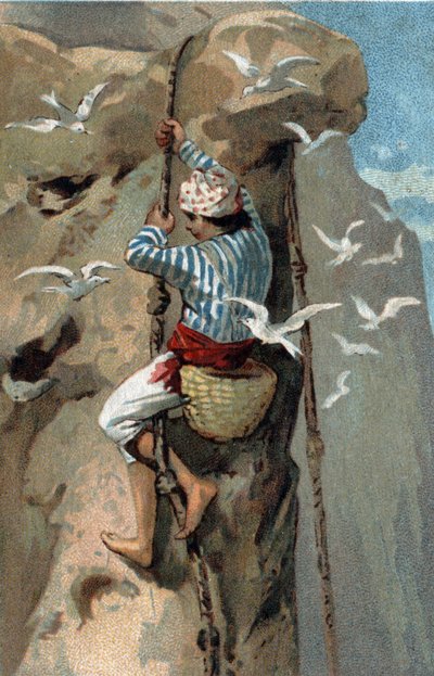 マレーシアのサランガンツバメの巣の復元。19世紀末のクロモリ写真。 作： Unknown artist