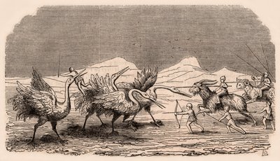 中世の部族と動物種の表現：ピグミーの戦いのクレーンのグループ 作： Unknown