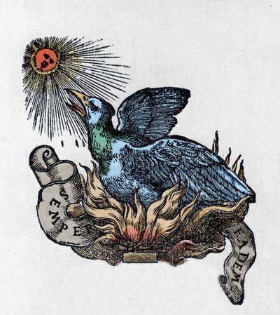 灰の中から生まれ変わった伝説の鳥、フェニックス（不死鳥）の表現。19世紀のエングレービング 作： Unknown artist
