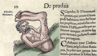 Sciapodの怪物の表現 1557年、Wolfhart（Conrad Lycosthene）の「The Book of Prodigiorum ac ostentorum Chronicon Basileae」からのエングレーヴィング。 作： Unknown artist