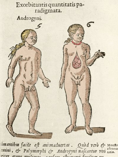 両性具有者と両性具有者の表現。コルネリオ・ジェンマ著『De natura Divinis caracteris』（1575年）からの引用。 作： Unknown artist