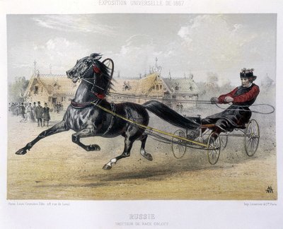 ロシア。オルロフ種のトロッター-「ケンタウルス」1867年掲載 作： Unknown artist