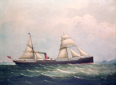 S.S.Fooksang（油彩・キャンバス 作： Unknown artist