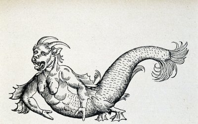 15世紀初頭にアドリア海で捕獲されたとされる「海の悪魔」（ゲスナー著）。 作： Unknown artist