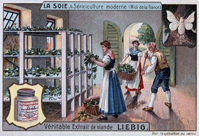 絹：南フランスの絹工房、リービッヒ広報、V.1895 作： Unknown artist