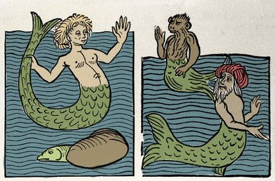 海の聖母シレーヌ、猿、ウミガメ。"Hortus sanitatis "からのエングレーヴィング 作： Unknown artist