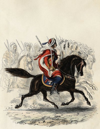 1834年にアルジェ県、1836年にオラン県、1835年にボーン県のために訓練されたアラブ系騎兵を中心に構成されたスパイス（フランス軍のインド系騎兵隊）は、Leon Galibertの「L