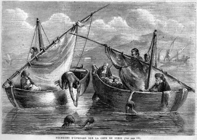 1867年、シリア沿岸のスポンジ漁師たち 作： Unknown artist