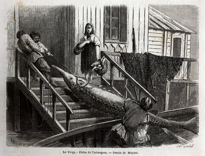 ヴォルガ川河口でのチョウザメ釣り。M.Moynetが1864年に行ったヴォルガ川の航海を描いたもので、Edouard Chartonの指導のもとに出版された "Le tour du monde, nouveau journal des voyages "に掲載されている。 作： Unknown artist
