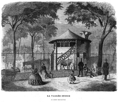 1858年、パリの植物園にあるスイスの谷。 作： Unknown artist