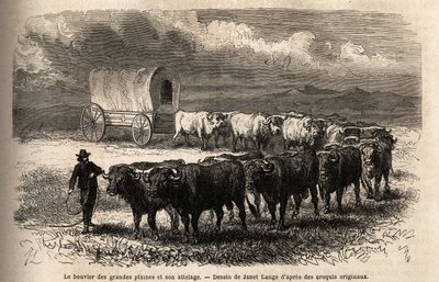 大平原のステアとそのヒッチ。M.L.シモナンが1867年に描いた「アメリカ極西の旅」の図版（エドゥアール・シャルトン編「Le tour du monde, nouveau journal des voyages」掲載 作： Unknown artist