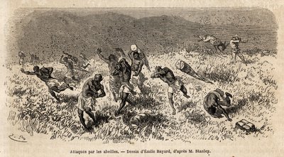 ヘンリー・モートン・スタンレーのミソンギ街道（東アフリカ）探検隊（1841-1904）の担ぎ手のキャラバンが蜂の雲に襲われた。の特派員ヘンリー・スタンレーによる、中央アフリカでのリビングストンを探す航海を説明するためのエングレーヴィング。 作： Unknown artist