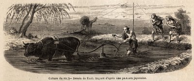 米の栽培：第一段階、土地に灌漑をした後、区画の土を鋤で返し、水牛と鋤手の足の下で挽き、中足までシルトを醸造し、ベチェで不逞の塊を砕く、その後、私が 作： Unknown artist