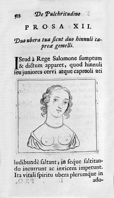 女性らしい胸元。Tractatus physiologicus de pulchritudine」から引用されたページでは、エルネスト・ヴェニオ（Ernestus Vaenius）が匿名の相手に対して創造物の美しさを擁護している。1612 作： Unknown artist
