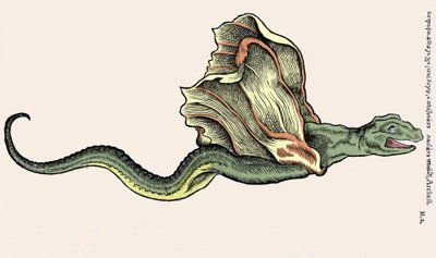 飛竜アンフィプテレー（AmphithereまたはAmphipthere）コンラッド・ゲスナー（1516 - 1565）の『Historia Animalium』のエングレーヴィング、Tiguri 作： Unknown artist