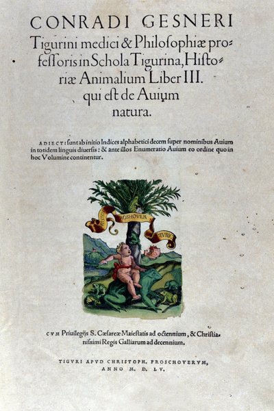 コンラッド・ゲスナー（1516-1565）の『Historia Animalium』第3巻の表紙、Tiguri。 作： Unknown artist