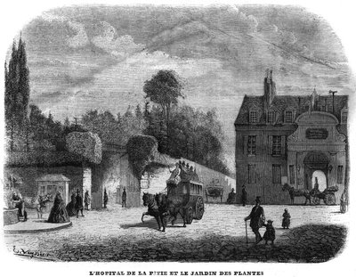 1858年、パリのピティ・サルペトリエール（PITIE-SALPETRIERE）の病院と植物の庭。 作： Unknown artist
