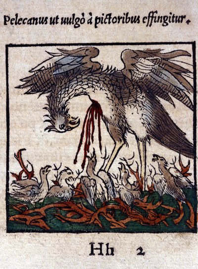 ペリカンの伝説：ペリカンは自分の血と腸を与えて子供を養う。Konrad Gesner著「Historiae animalium」（Tiguri）より 作： Unknown artist