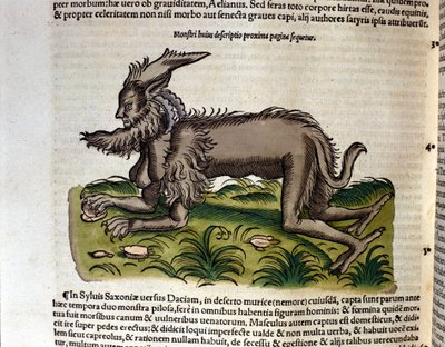 コンラッド・ゲスナーの『Historia Animalium』に登場するマンティコア、ティグリ1560年。Biblioteca nazionale Braidense.ミラノ 作： Unknown artist