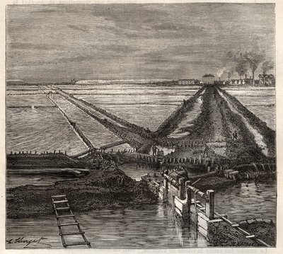 カマルグ（ブーシュ・デュ・ローヌ）のジローの塩湿地、用水路からの眺め - Louis Figuierの「Les Merveilles de l