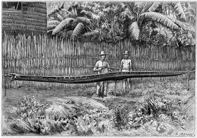 フィリピン諸島で捕獲された体長6.60mのパイソンヘビの皮。写真より）。1892年7月16日付「La Nature: revue des sciences et de leurs applications aux arts et a l