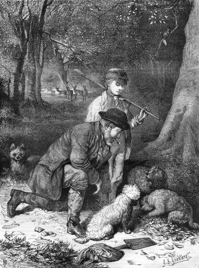 1870年に描かれたトリュフ。 作： Unknown artist