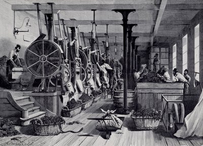 タバコ工場、洗濯室、タバコのラペッジ。1867年頃のエングレーヴィング。パリ、カルナヴァレ美術館 作： Unknown artist