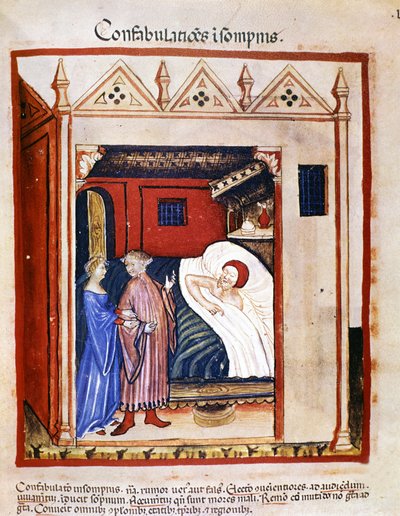 医学書「Tacuinum sanitatis」14世紀：睡眠中に会話する人々14世紀B.N、ウィーン 作： Unknown artist