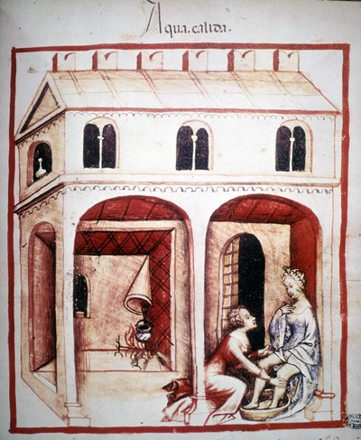 医学論文「Tacuinum sanitatis」14世紀：熱湯の使用。B.N、ウィーン。 作： Unknown artist