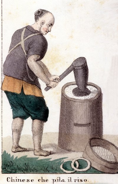 Un chinese qui pille le riz - in The universal costume of all peoples of the world 作： Unknown artist