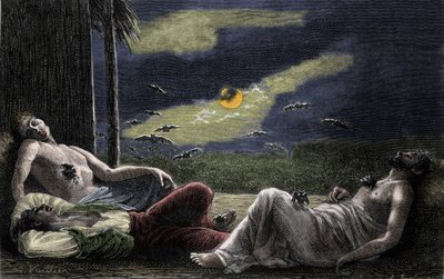 満月の夜に眠っている男性の血を吸う吸血コウモリ。19世紀のエングレーヴィング 作： Unknown artist